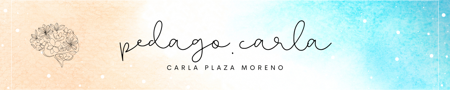 Carla Plaza Moreno Store