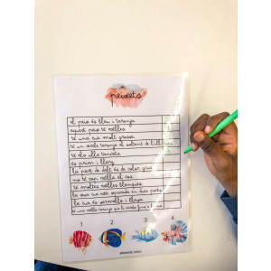 COMPRENSIONES LECTORAS NÚMEROS