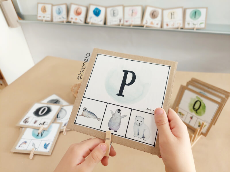 Targetes Principi Alfabètic