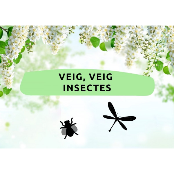 Veo, veo... INSECTOS