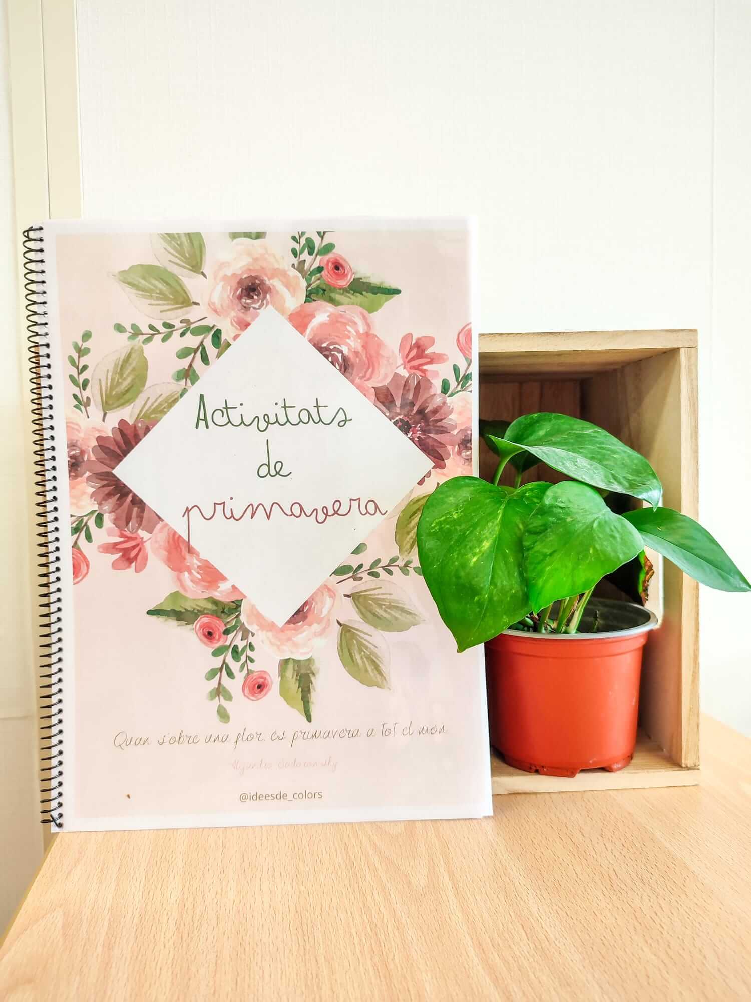 DOSSIER DE PRIMAVERA