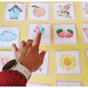 Targetes de Primavera