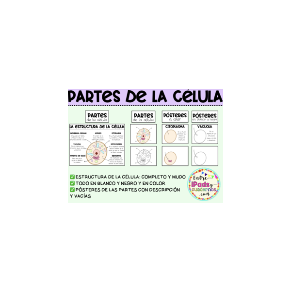 LA CÉLULA ANIMAL: ESTRUCTURA Y PARTES