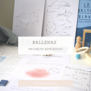Proyecto ballenas