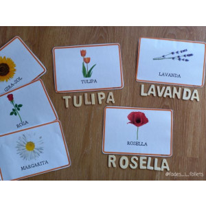 Targetes vocabulari PRIMAVERA