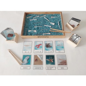 Vida en Mars i Oceans. Vocabulari i lectoescriptura.