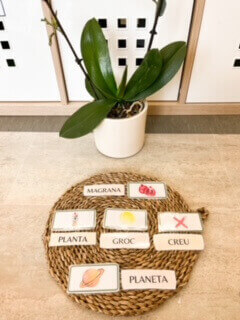 SÍL·LABES TRAVADES