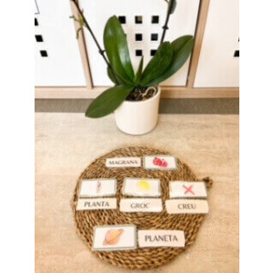 SÍL·LABES TRAVADES