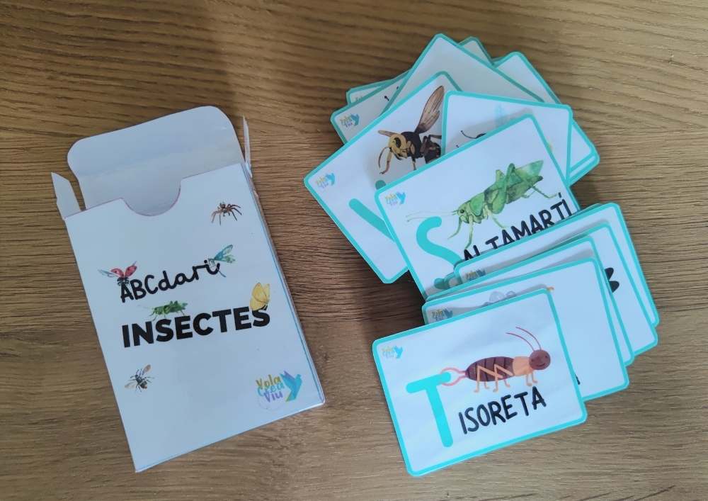 ABCedario de insectos
