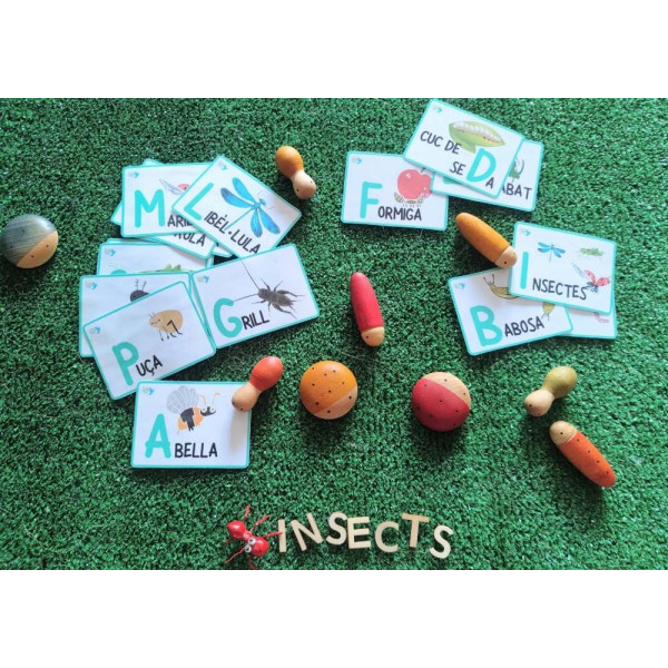 ABCedario de insectos