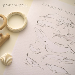 Muestra infografía ballenas