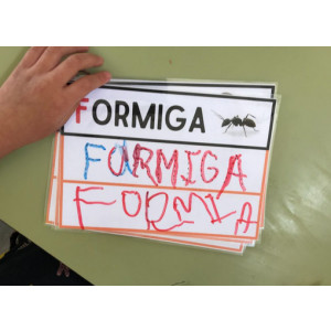 TARGETES ESCRIPTURA VOCABULARI INSECTES