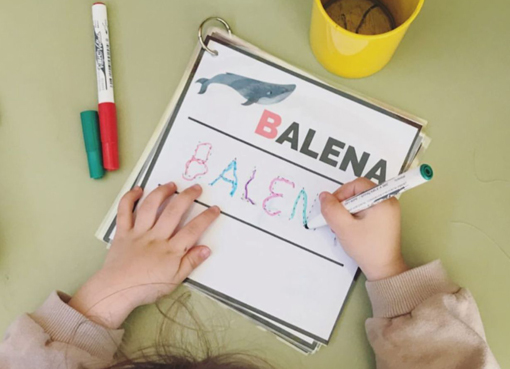 VOCABULARI ANIMALS HIVERN