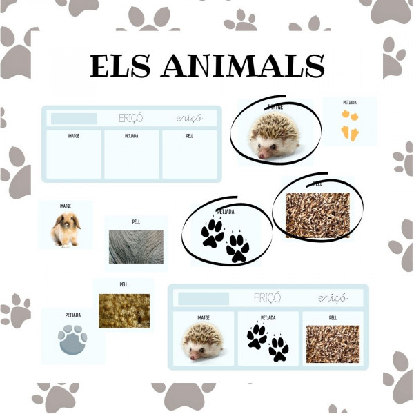 Els animals