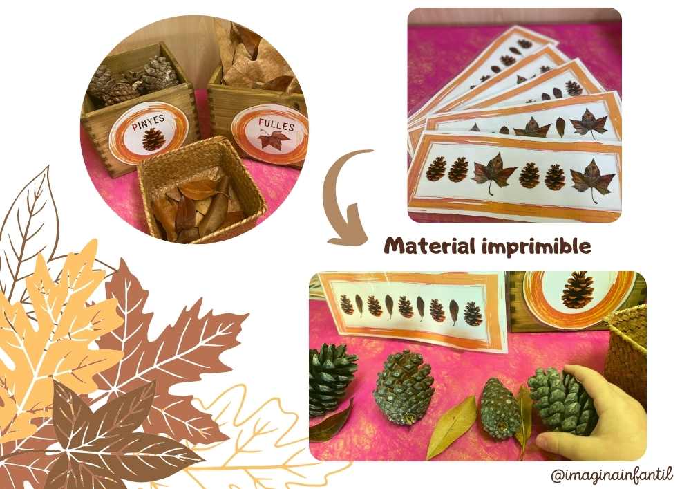 Seriaciones - Otoño