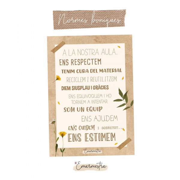 Normes d'aula