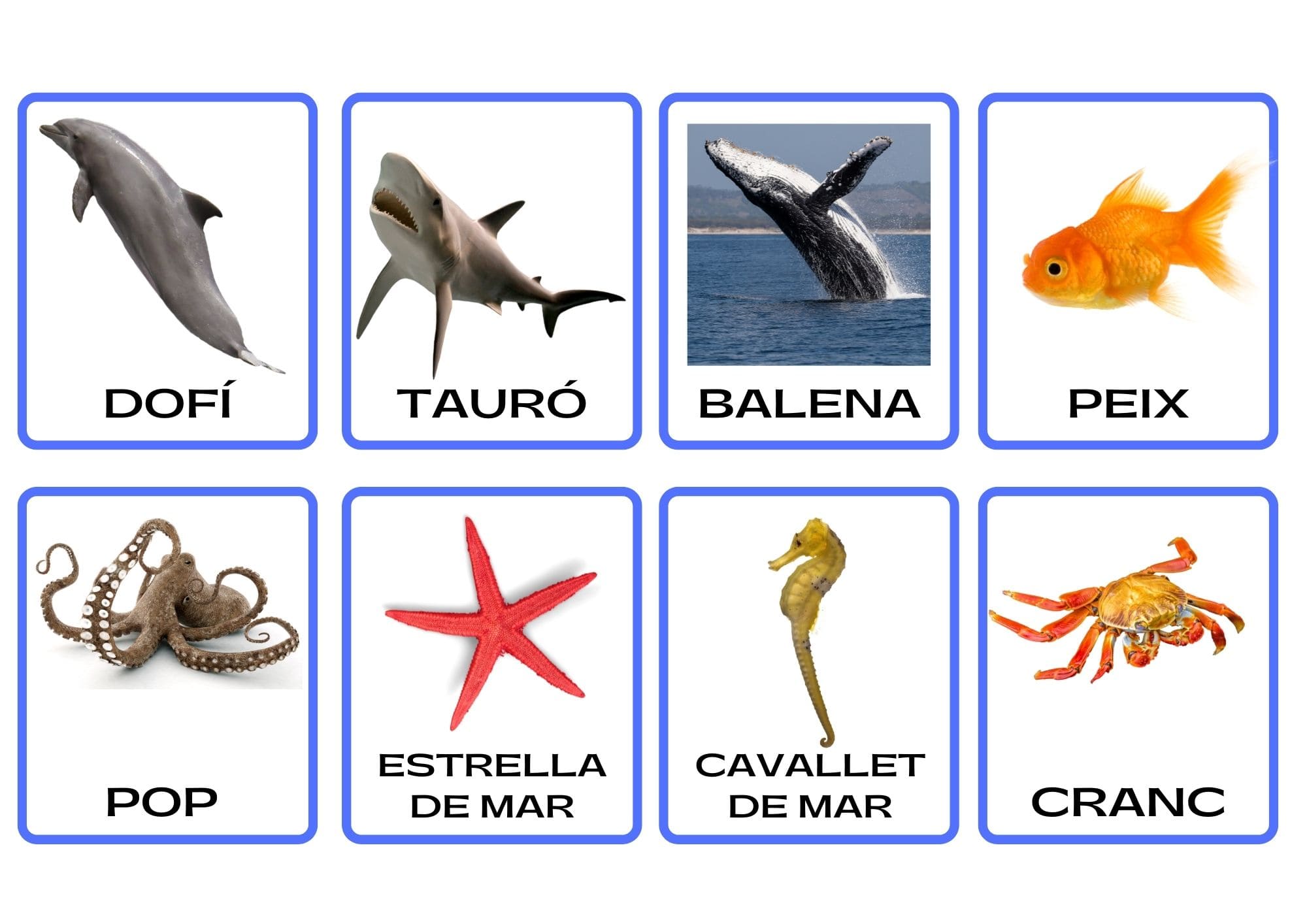 TARGETES 3 PARTS ANIMALS MARINS