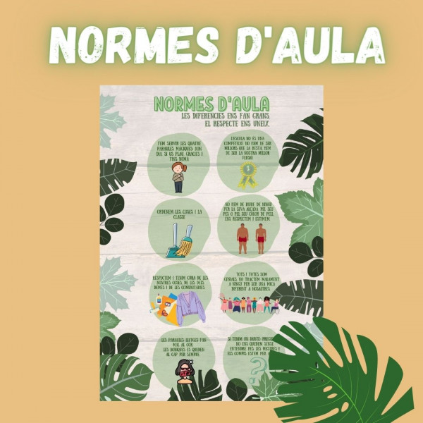 Normes d'aula