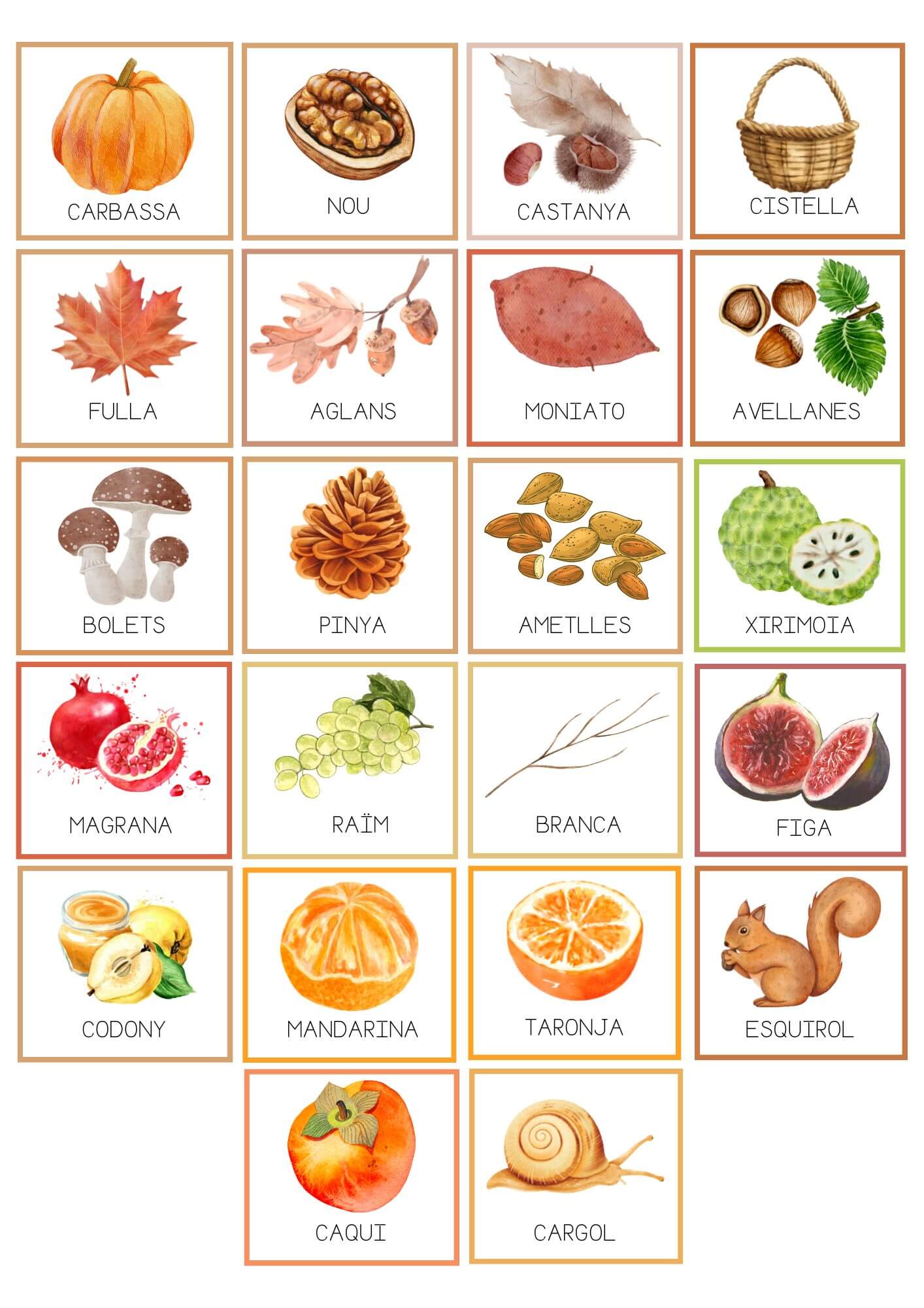 Vocabulari tardor lletra de pal català