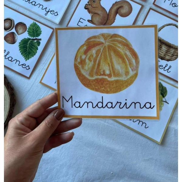 Vocabulario Otoño Castellano letra ligada