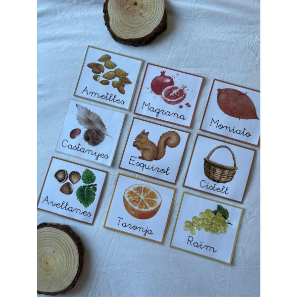 targetes vocabulari tardor lletra lligada català