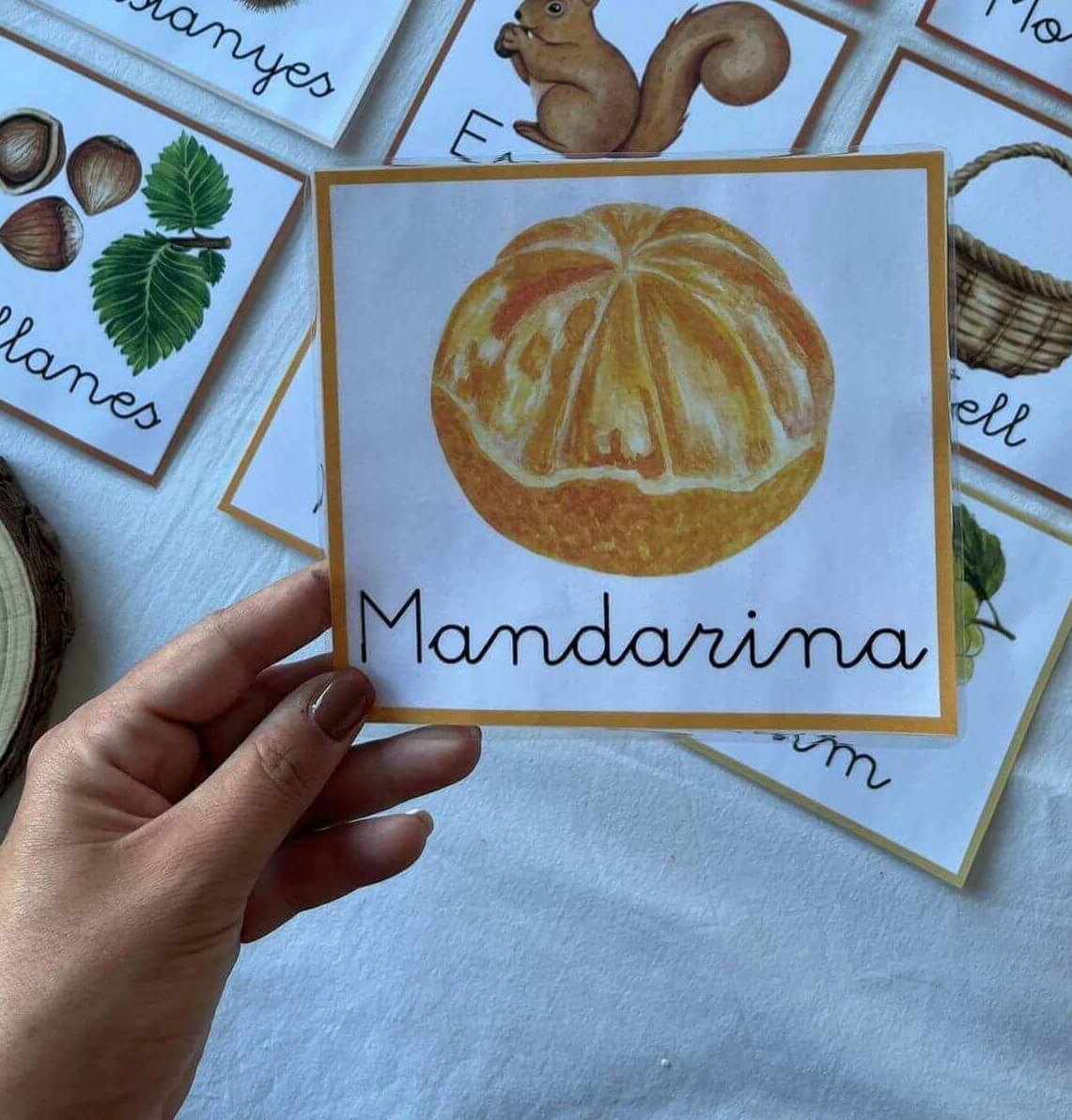 targetes vocabulari tardor lletra lligada català