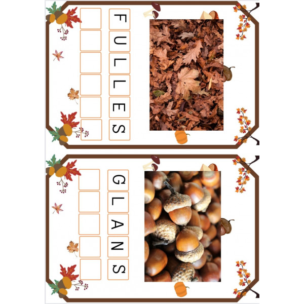 Copia les paraules Tardor