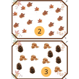 Fes agrupacions Tardor