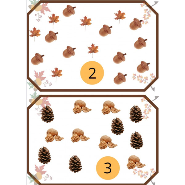 Fes agrupacions Tardor