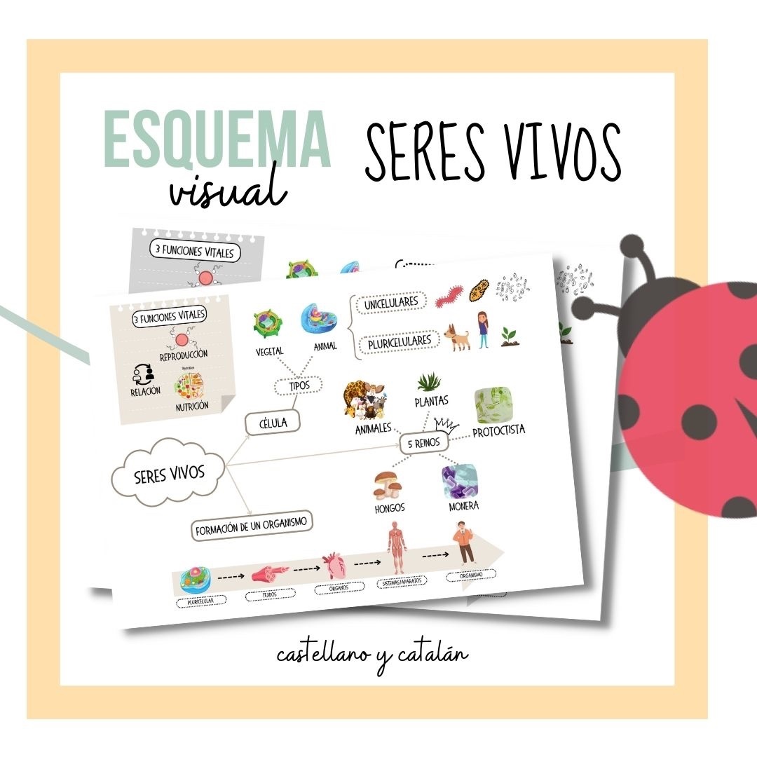 Esquema visual Seres Vivos_Castellano/Catalán