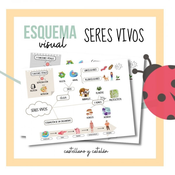 Esquema visual Seres Vivos_Castellano/Catalán