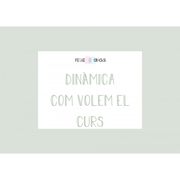 Dinàmica_Com volem el curs