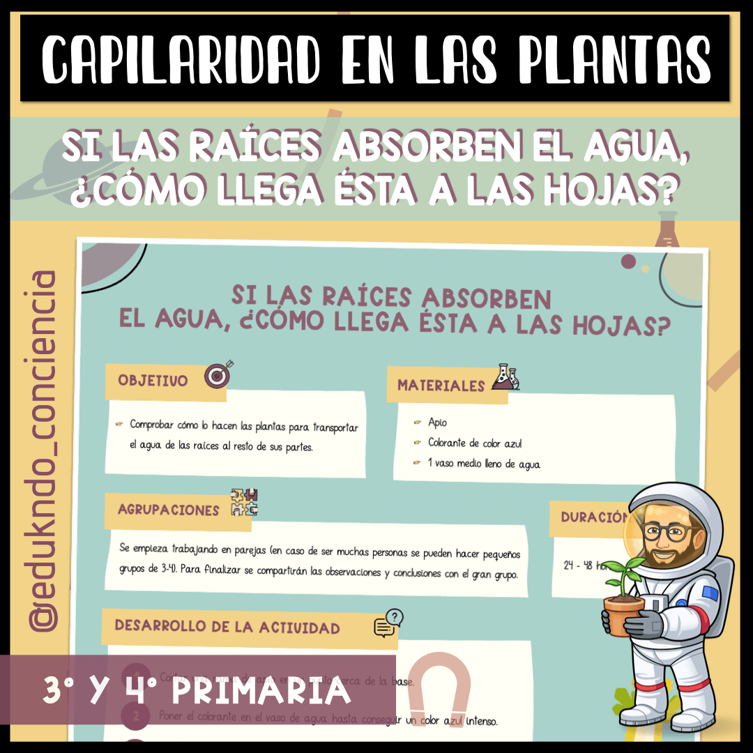 [ES] PRÁCTICA SOBRE LA CAPILARIDAD DE LAS PLANTAS