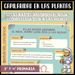 [ES] PRÁCTICA SOBRE LA CAPILARIDAD DE LAS PLANTAS
