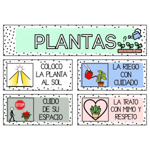 NORMAS cuidado de plantas del aula