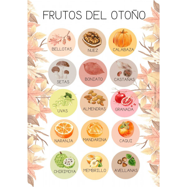 Lámina los frutos de otoño -castellano mayúscula