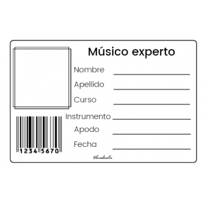 CARNET MÚSICO EXPERTO