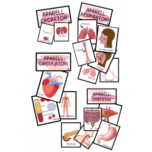 EL COS HUMÀ - APARELLS