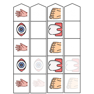 Series lógicas con elementos del cuerpo humano