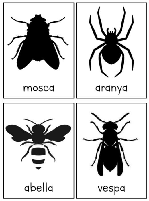 TARGETES INSECTES