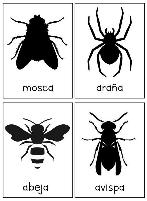 TARJETAS INSECTOS