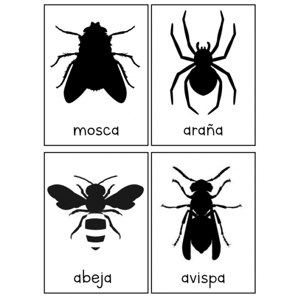 TARJETAS INSECTOS