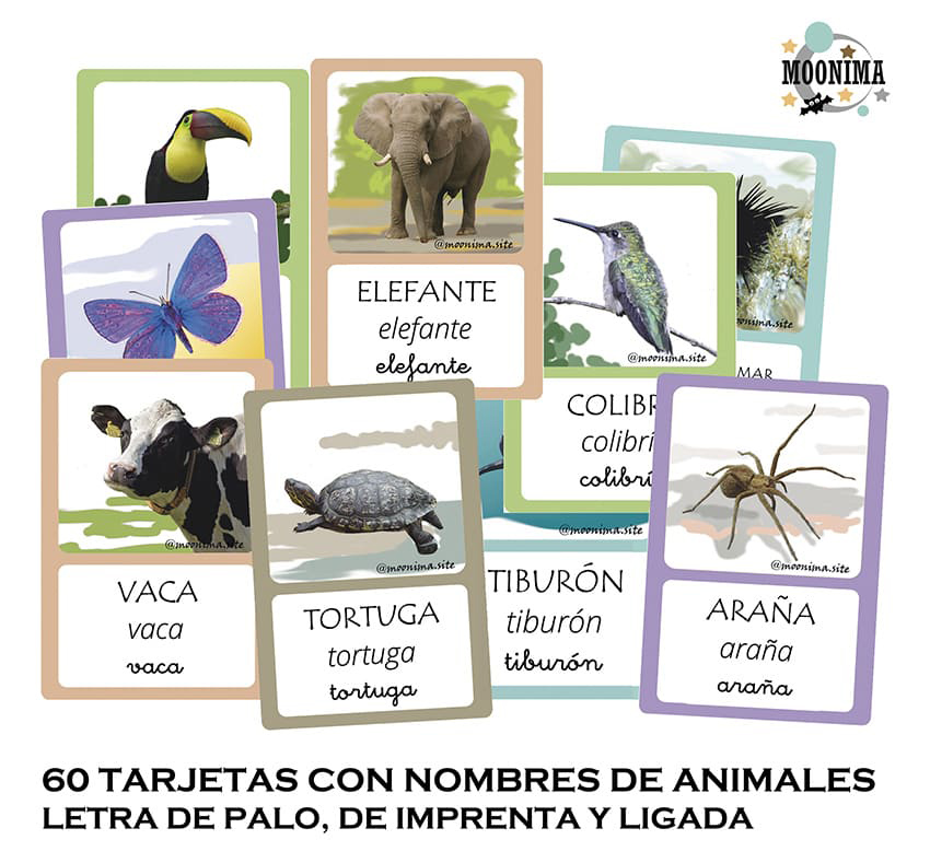 NOMBRES DE ANIMALES