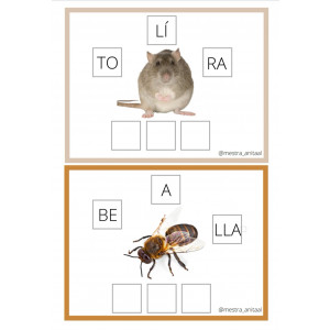 Ordena las sílabas.