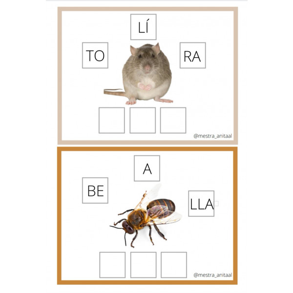 Ordena las sílabas.