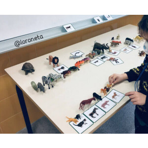 Vocabulari Discriminació Auditiva Els Animals