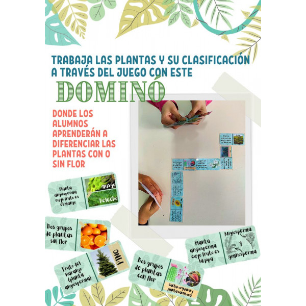 Dominó sobre la clasificación de las plantas