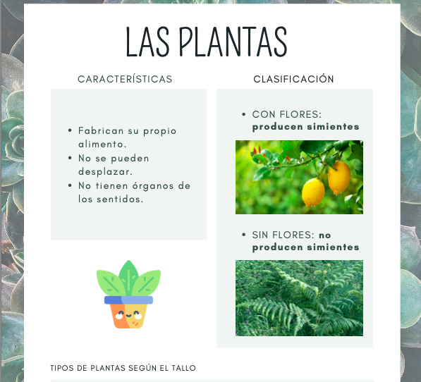 Fichas para trabajar las plantas
