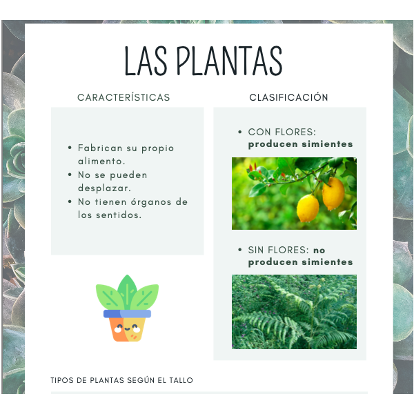 Fichas para trabajar las plantas