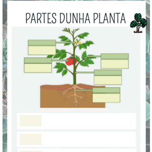 Fichas para trabajar las plantas
